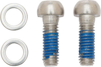 Avid Disc Bracket Mounting Bolts (Stainless)