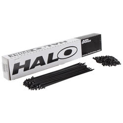 HALO Aura 14g (Black) Spoke