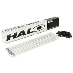 HALO Aura 14g (White) Spoke