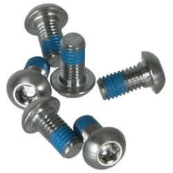 TRP Titanium Rotor Bolts