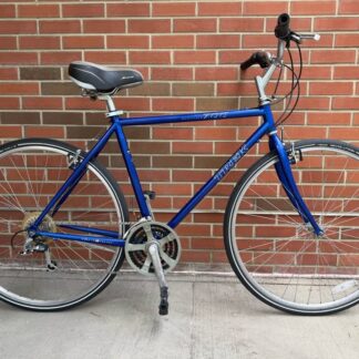 Trek 700 Multitrack - 21”