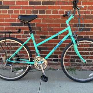 Raleigh Vintage Hybrid - 17”